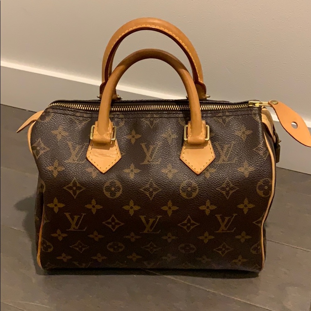 Speedy 25 with Felt Organizer & Authenticity Email